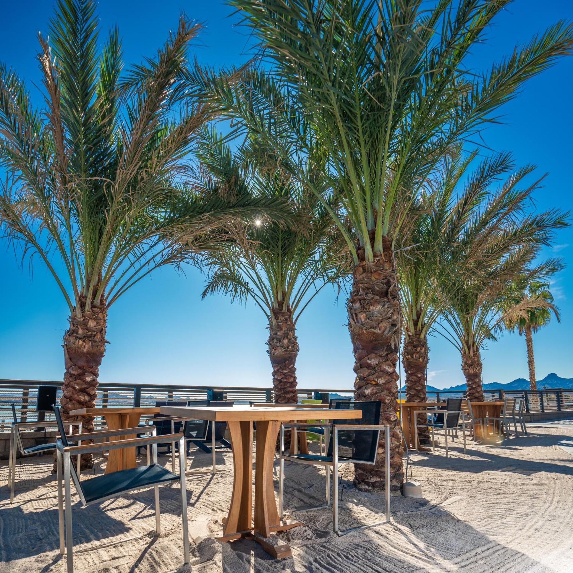 The Nautical Beachfront Resort Lake Havasu City Dış mekan fotoğraf