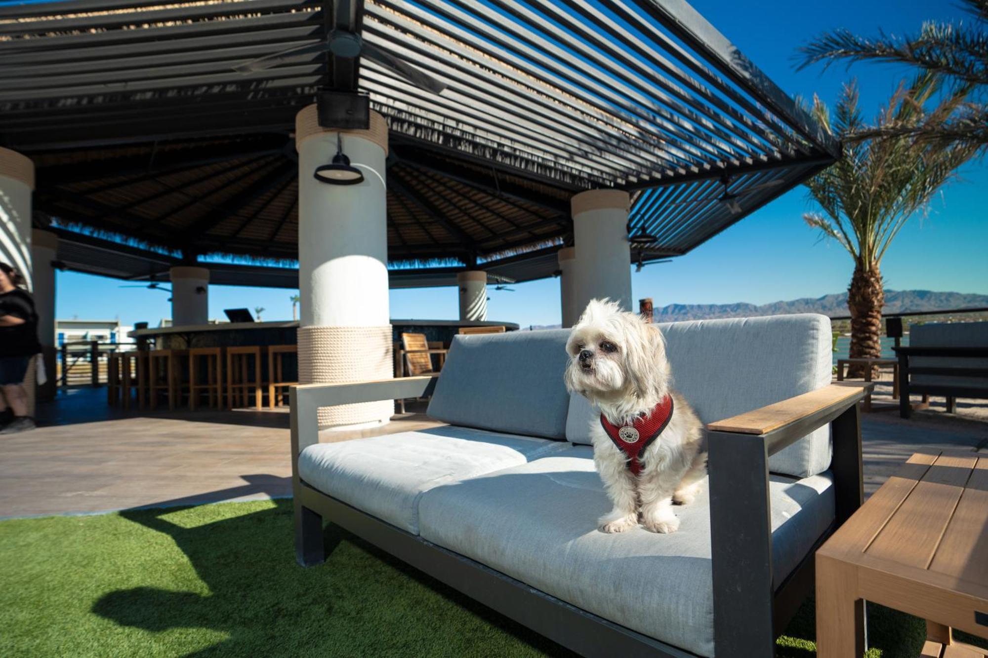 The Nautical Beachfront Resort Lake Havasu City Dış mekan fotoğraf